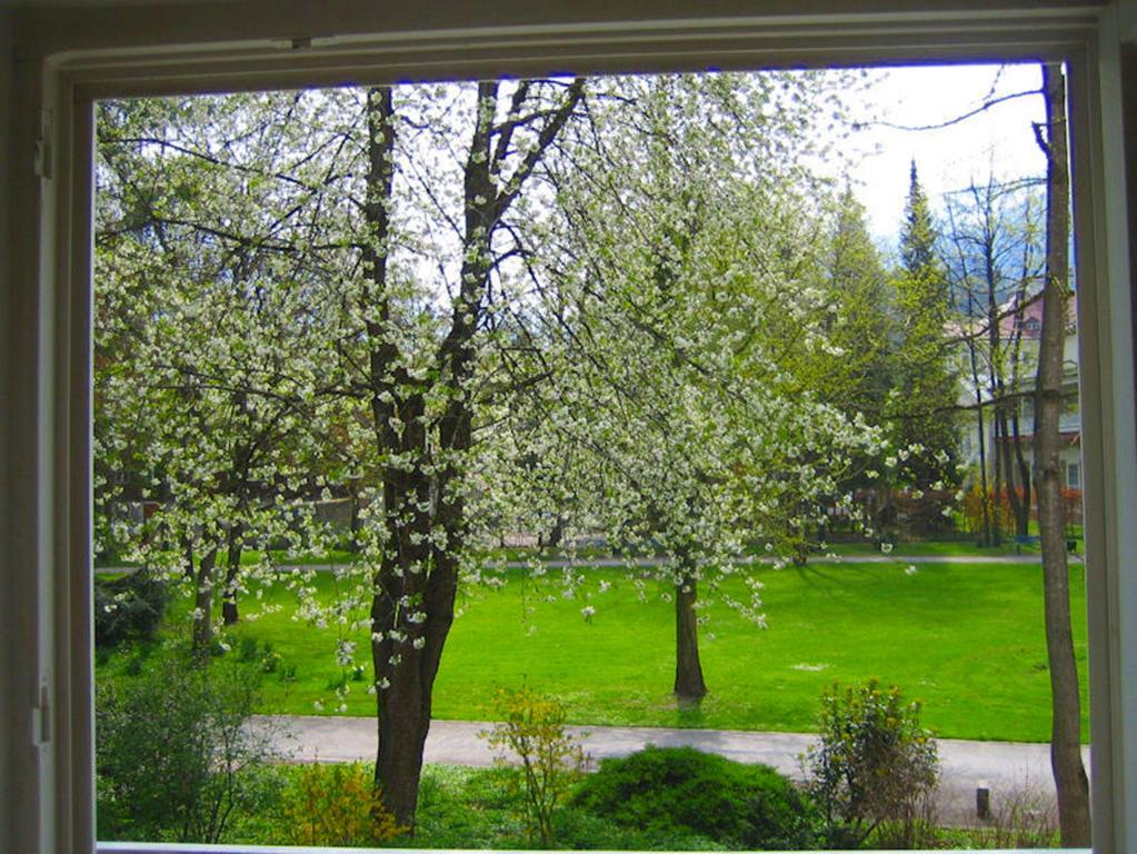 Ferienwohnung Am Ortenaupark Bad Reichenhall Exteriér fotografie